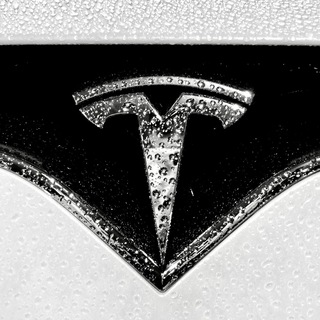 Telegram @TeslaMotorsUKChannel Image