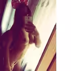 Telegram @hookup_apps_vienna_austriaGroup Image