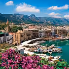 whiteagencyestate Telegram Logo