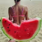 ar_buzer Telegram Logo