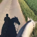 llII2lll Telegram Logo