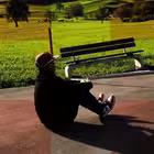 swisstraderflip Telegram Logo