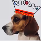 moskovskaya_zhuchka Telegram Logo