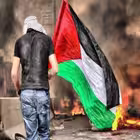 mohamedarafat55 Telegram Logo