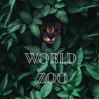 Telegram @worldzooChannel Image