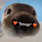 Cutehappystuffs Telegram Logo