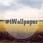 iWallpaper Telegram Logo