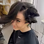 shtollnews Telegram Logo