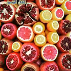 gizmiztel Telegram Logo