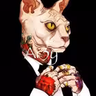 Ar3yBiT Telegram Logo