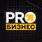 PRO_biz_channel Telegram Logo