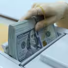 Haerat_tmn Telegram Logo