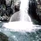 locasuz Telegram Logo