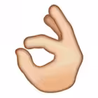 notypicmarketing Telegram Logo