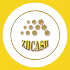 Telegram @zhcashsochiGroup Image