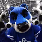 TribunaD Telegram Logo