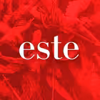 estechannel Telegram Logo