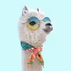 Zhenskyy Telegram Logo