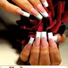 nogtibel Telegram Logo