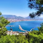 oba_alanya Telegram Logo