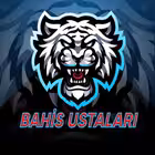 bahisustalari Telegram Logo