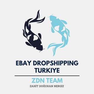 Telegram @ebaydropshippingturkeyGroup Image