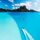 ForexHesapAcilisi Telegram Logo