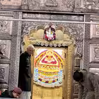 Crick_Exprt Telegram Logo