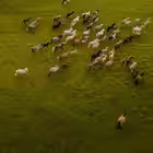 Telegram @Breffotips1Channel Image