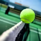 Tennis_football_reports Telegram Logo