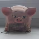 catizenair Telegram Logo