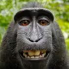 chat3znakomstv Telegram Logo