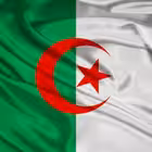Algeria Telegram Logo