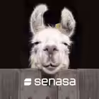 SenasaAR Telegram Logo