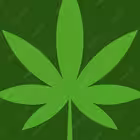 Telegram @barbadosbChannel Image