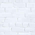 belarus Telegram Logo