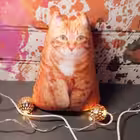 chatAfoni Telegram Logo