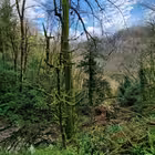 Telegram @move_to_turkeyChannel Image