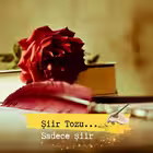 siirtozuu Telegram Logo