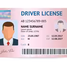 N26_belgiumo Telegram Logo