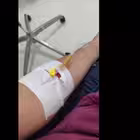 bzksmslssmdk Telegram Logo