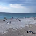 Telegram @antalyajigChannel Image