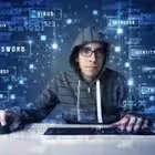 shanghaip0 Telegram Logo