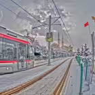 Telegram @kayserim3800Channel Image