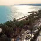 mersinforme Telegram Logo