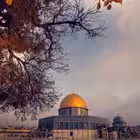 nomsizkanal9 Telegram Logo