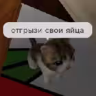 Telegram @tokyoskiekffChannel Image