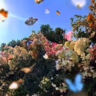 afyon123 Telegram Logo