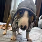 kishlak_family Telegram Logo