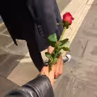 Telegram @pooltChannel Image